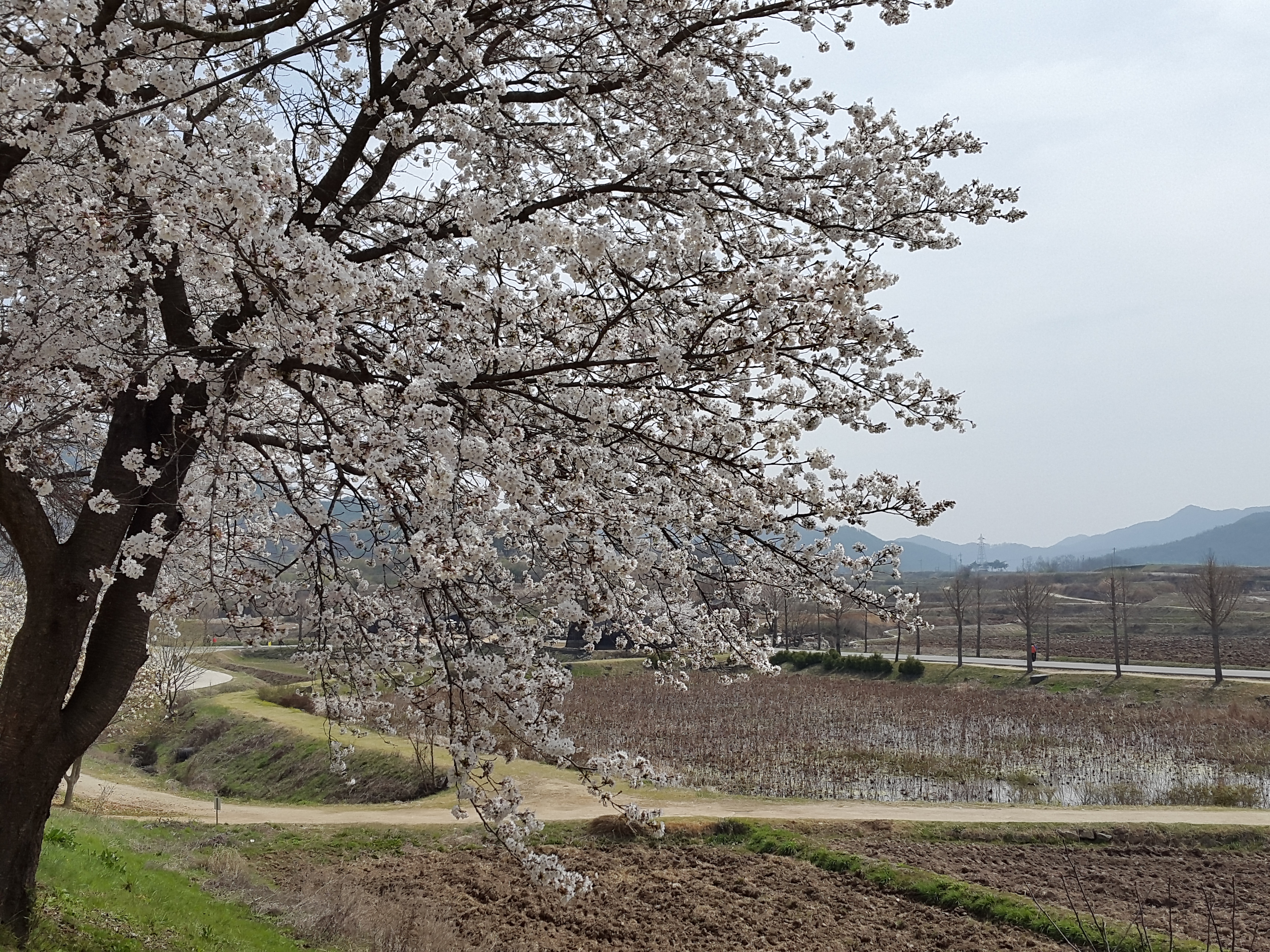 대표사진