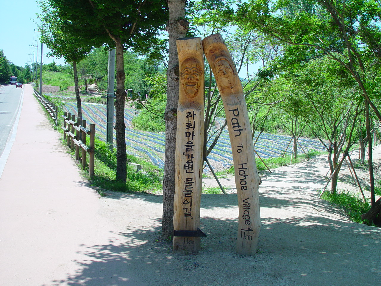 대표사진