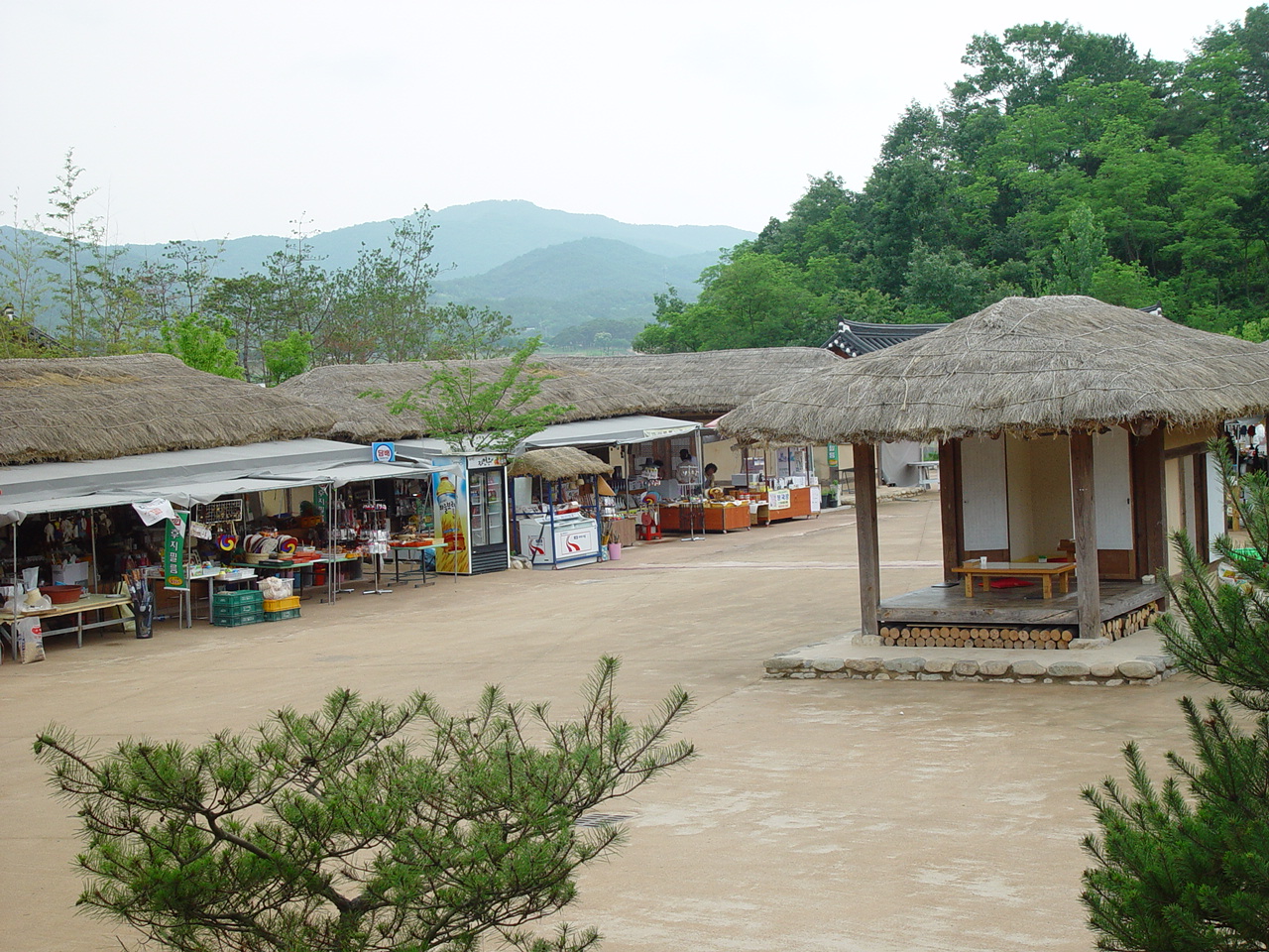 대표사진