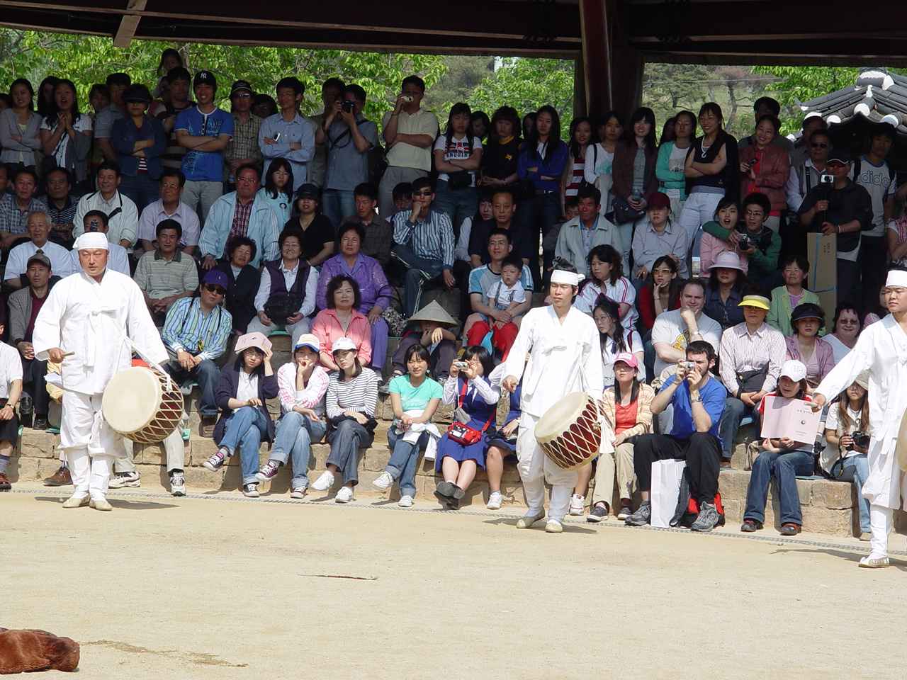 대표사진