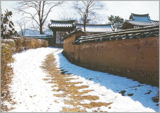 대표사진